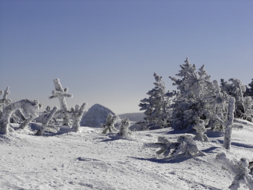 Le mont Gerbier des Jonc vue d'un sommet des Roches des Cuzets